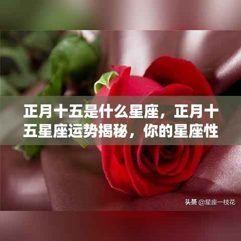 正月十五星座运势大揭秘,星座性格如何塑造你的未来?