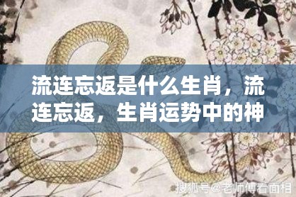 揭秘生肖魅力,流连忘返的生肖运势之谜