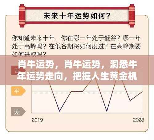 牛年运势揭秘,洞悉肖牛运势,把握人生黄金机遇!