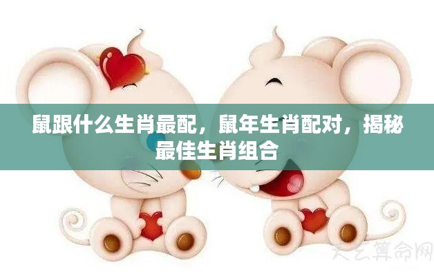 揭秘鼠年生肖配对,最佳生肖组合大揭秘!
