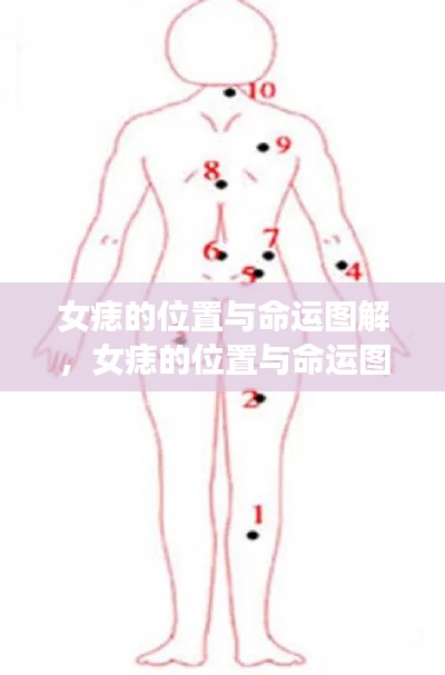 女痣位置与命运图解,揭示痣相学中的奥秘