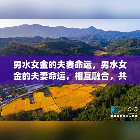 男水女金的夫妻命运,和谐共融,谱写美好乐章