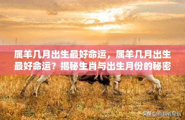 揭秘属羊人最佳出生月份,生肖与命运紧密相连的奥秘!