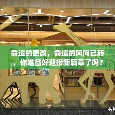 劳燕分飞 第5页