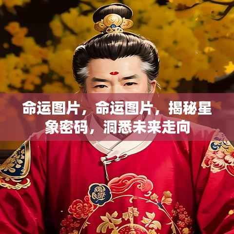 揭秘星象密码,命运图片揭示未来走向