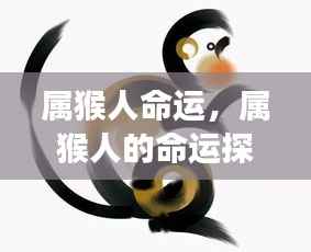 属猴人的命运探索,星象指引下的无限可能与机遇