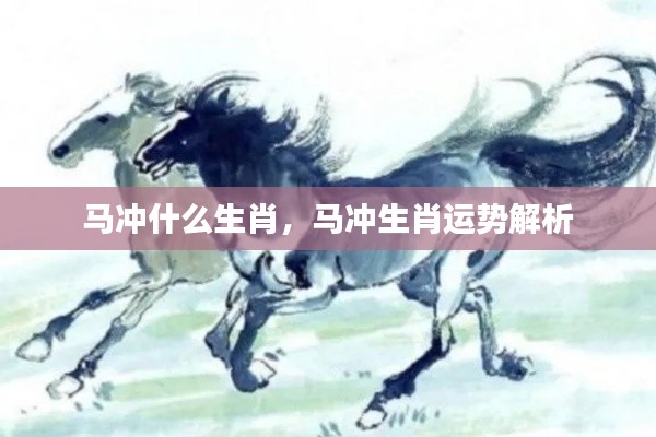 马冲生肖运势解析,揭秘生肖相冲下的运势影响