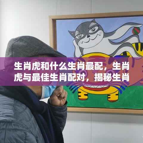 揭秘生肖奥秘,生肖虎的最佳配对生肖,和谐共鸣的奥秘探索