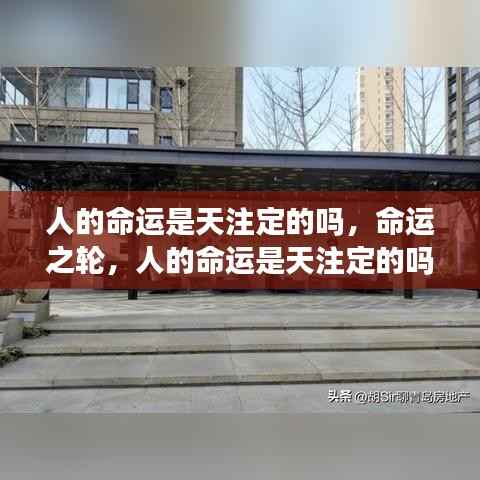 人的命运是否天注定,命运之轮的转动之谜