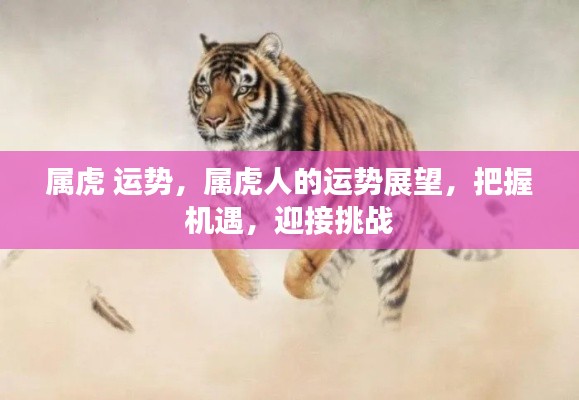 属虎人的运势展望,把握机遇,迎接挑战,迎接美好未来!