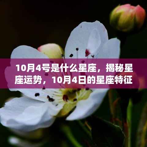 揭秘星座运势,10月4日的星座特征及其运势解析