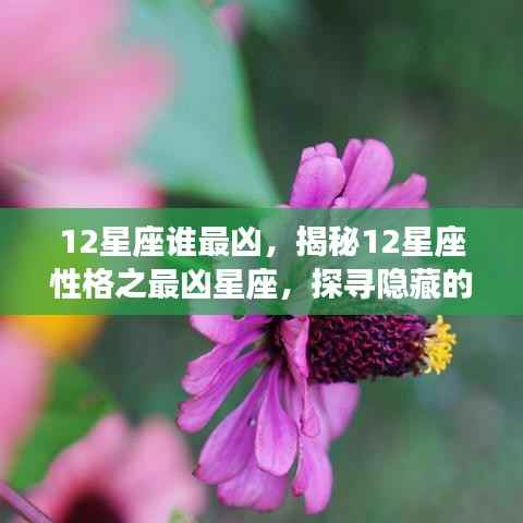 揭秘十二星座中的凶星之王,探寻性格深处的力量源泉