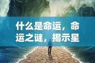 命运之谜,星座与人生交织之路的揭示