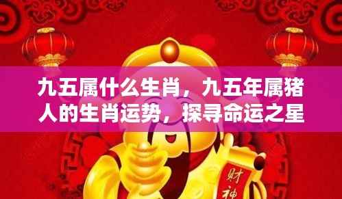 九五年属猪的生肖运势揭秘,命运之星的光芒探寻