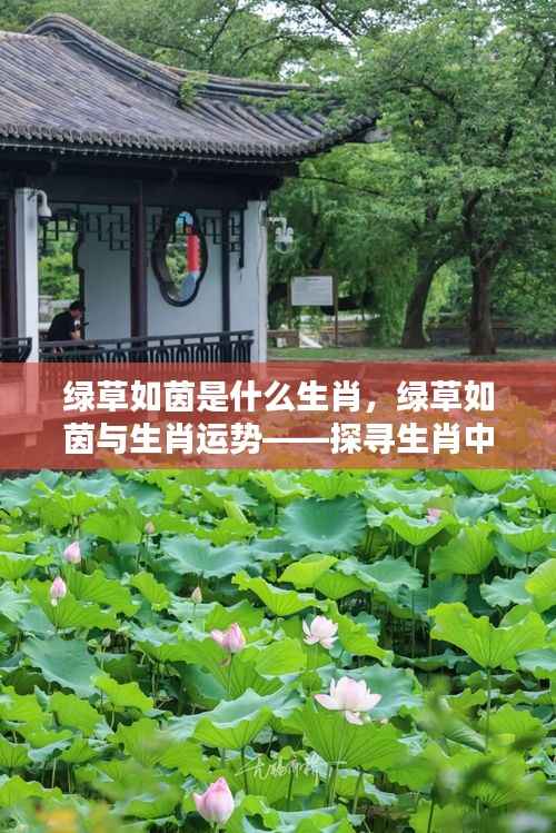 绿草如茵与生肖运势,探寻生肖中的生机盎然绿色运势之道