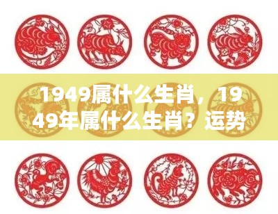 1949年属相运势解析及个性特点揭秘，生肖运势深度解读与个性洞察