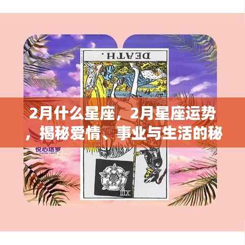 揭秘二月星座运势,爱情、事业与生活展望