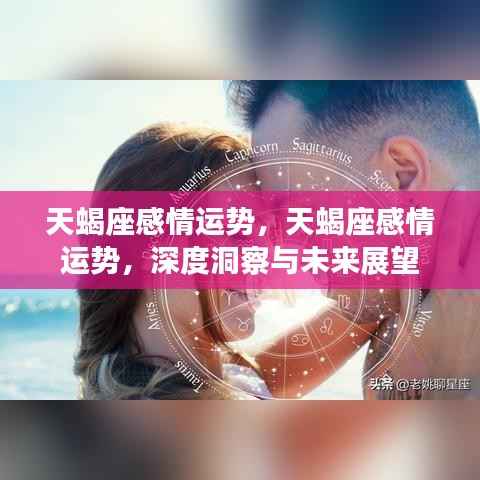 天蝎座感情深度洞察,未来展望与运势预测