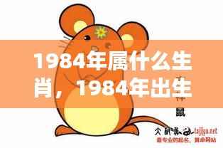 揭秘属鼠人生肖运势,1984年出生者的命运解析