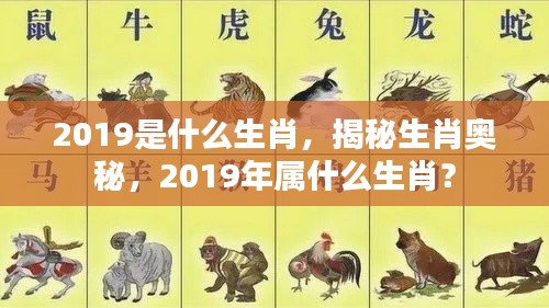 揭秘生肖奥秘,2019年属什么生肖?猪的生肖年解读。