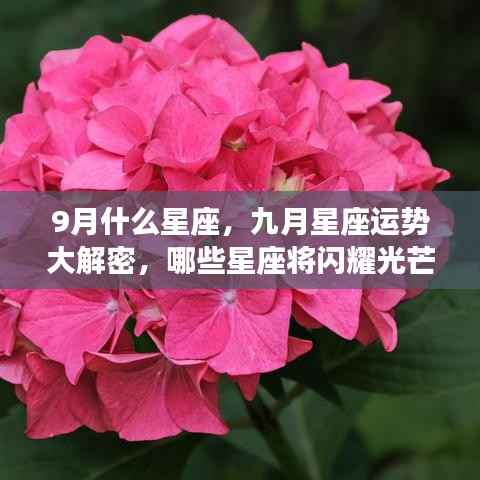 九月星座运势揭秘,哪些星座将闪耀光芒?