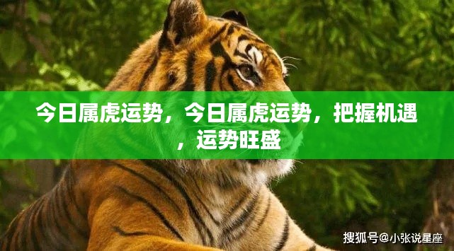 今日属虎运势大揭秘,把握机遇,运势旺盛!