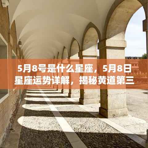 揭秘黄道第三宫的真实魅力,5月8号星座运势详解与星座特征探寻