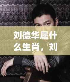 笃新怠旧 第3页