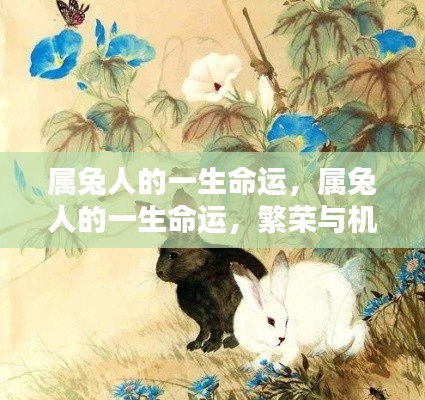 属兔人的一生命运,繁荣与机遇并存,命运波折与机遇并存的道路探索