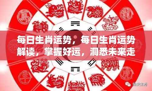每日生肖运势详解,掌握运势,洞悉未来走向