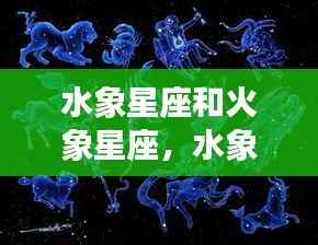 水象星座与火象星座,性格碰撞与情感交融的奇妙旅程