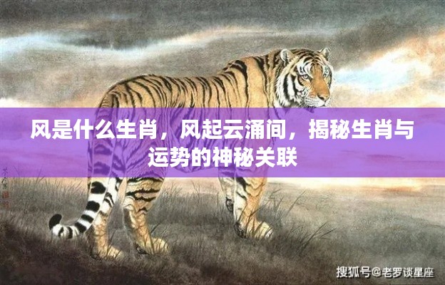 风是什么生肖,风起云涌间,揭秘生肖与运势的神秘关联
