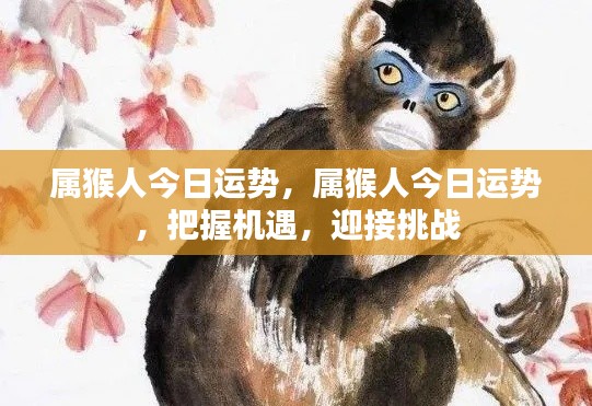 属猴人今日运势,把握机遇,迎接挑战的挑战与机遇分析