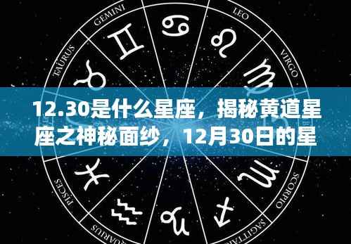 揭秘黄道星座之神秘面纱，12月30日星座运势解析及运势特点