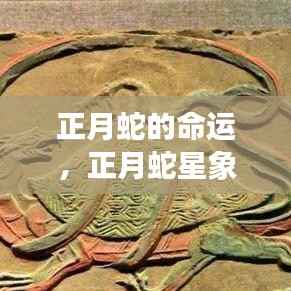 正月蛇的命运与星象运势解析,命运之轮的新起点