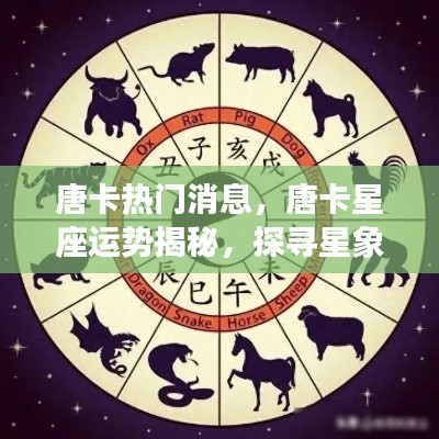 唐卡星座运势揭秘,探寻星象奥秘与启示