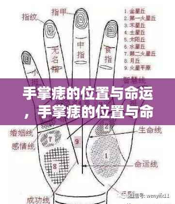 手掌痣的位置与命运,揭示人生潜在线索
