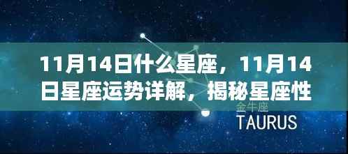 揭秘星座性格魅力与未来走向,11月14日星座运势详解及星座属性解析