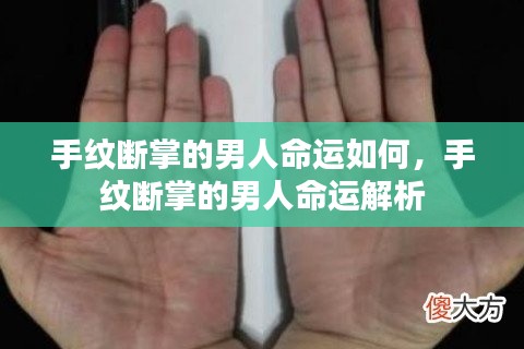 手纹断掌的男人命运解析,揭示命运走向与性格特质