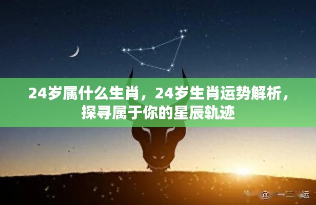 24岁生肖运势解析与星辰轨迹探寻,属于你的命运之光