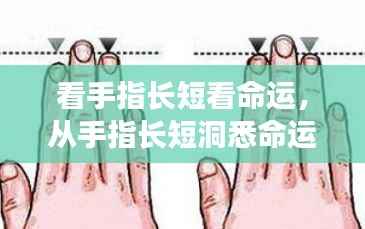 从手指长短洞悉命运走势，手相学中的秘密揭示命运长短与走势的真相