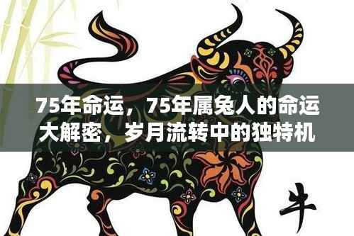 岁月流转中的机遇与挑战,揭秘75年属兔人的命运大解密
