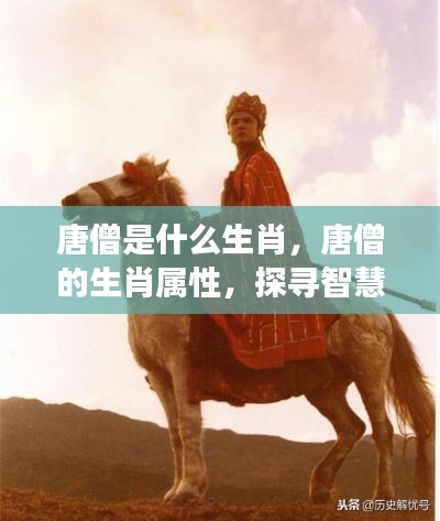 唐僧的生肖属性揭秘,智慧与坚韧的象征探索