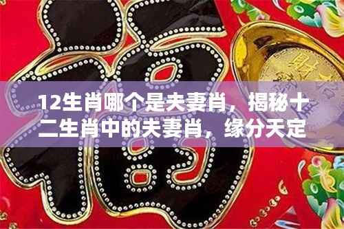 揭秘十二生肖中的夫妻肖,缘分天定,情深似海,究竟哪个是命中注定的伴侣?