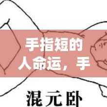 手指短的人命运揭秘,手相中的命运密码解读