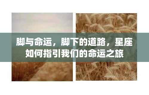 如翚斯飞 第4页