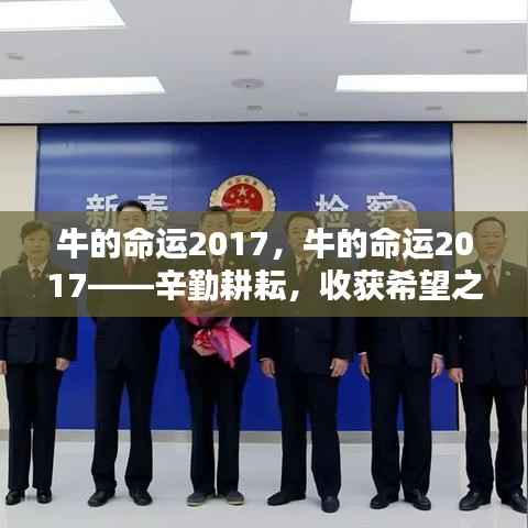 踊贵屦贱 第4页