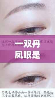 一双丹凤眼揭示生肖运势奥秘