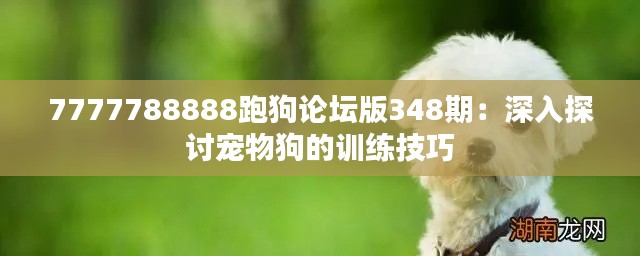 7777788888跑狗论坛版348期:深入探讨宠物狗的训练技巧