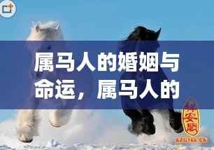 属马人的婚姻与命运,爱情与生活的双翼飞翔之旅